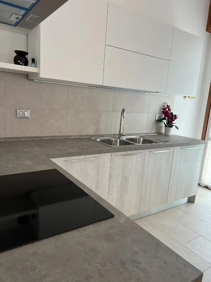 Il Timone Apartment Toscolano Maderno
